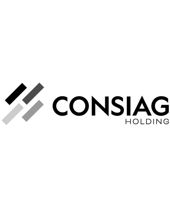 Logo Consiag holding